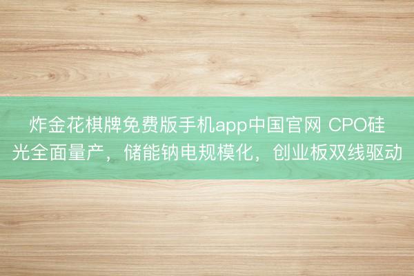 炸金花棋牌免费版手机app中国官网 CPO硅光全面量产，储能钠电规模化，创业板双线驱动