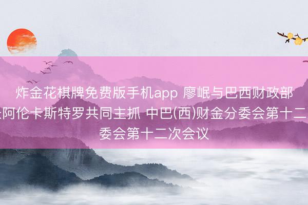 炸金花棋牌免费版手机app 廖岷与巴西财政部副部长阿伦卡斯特罗共同主抓 中巴(西)财金分委会第十二次会议